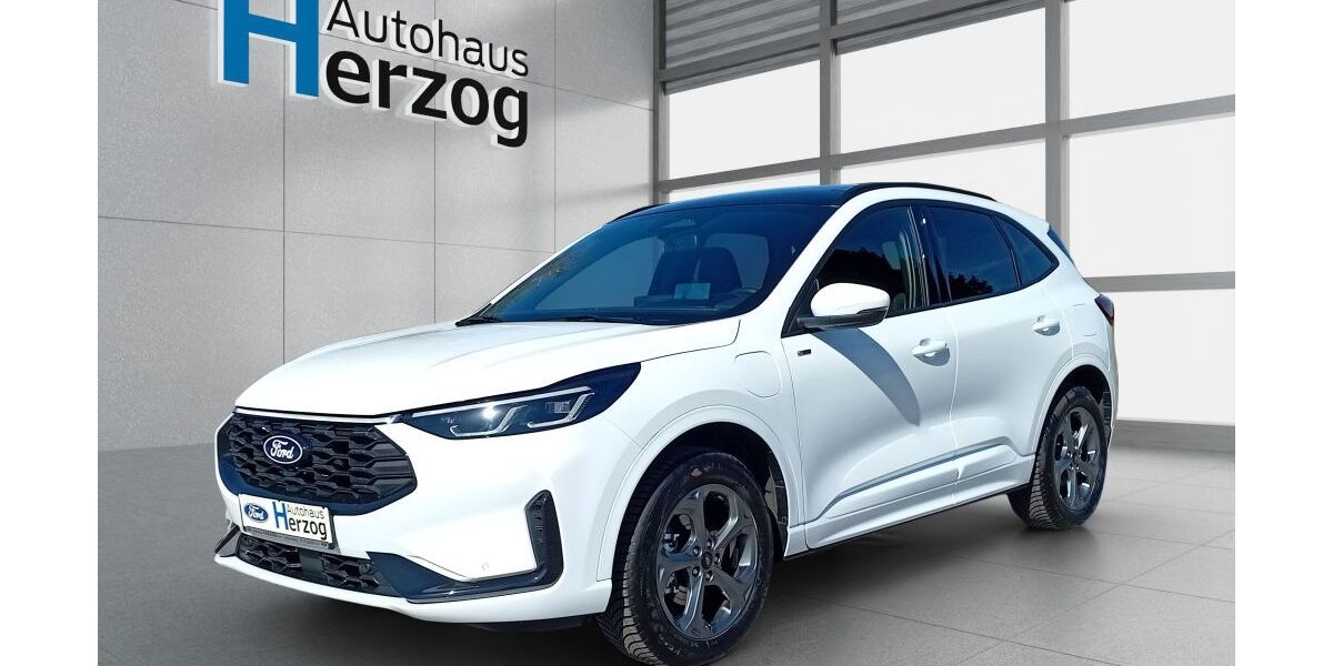 Ford Kuga 4.800 km 35.980 &euro; Schramberg 78713