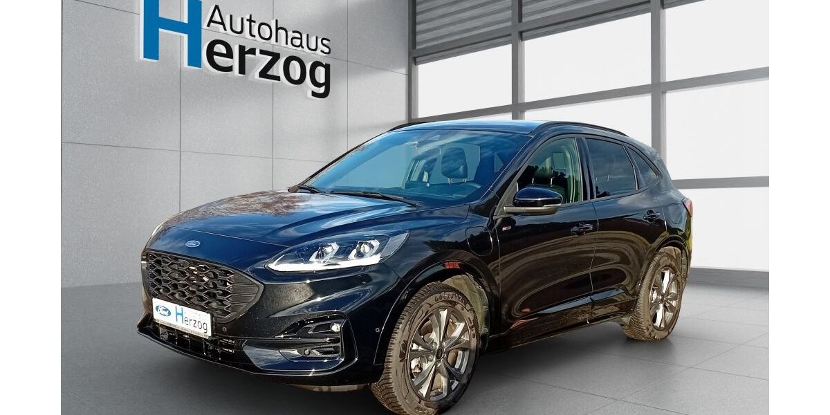 Ford Kuga 17.000 km 28.990 &euro; Schramberg 78713