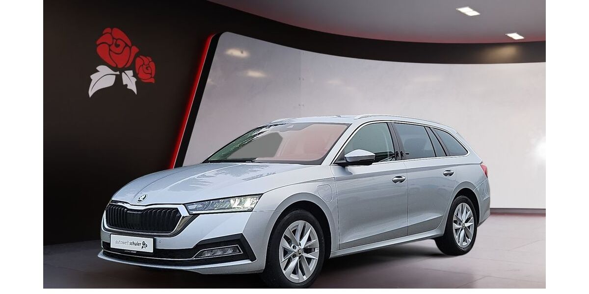 Skoda Octavia 133.300 km 19.549 &euro; Villingen-Schwenningen 78052