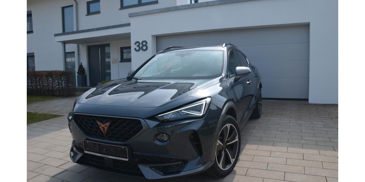 Cupra Formentor 66.200 km 23.490 &euro; Schramberg 78713