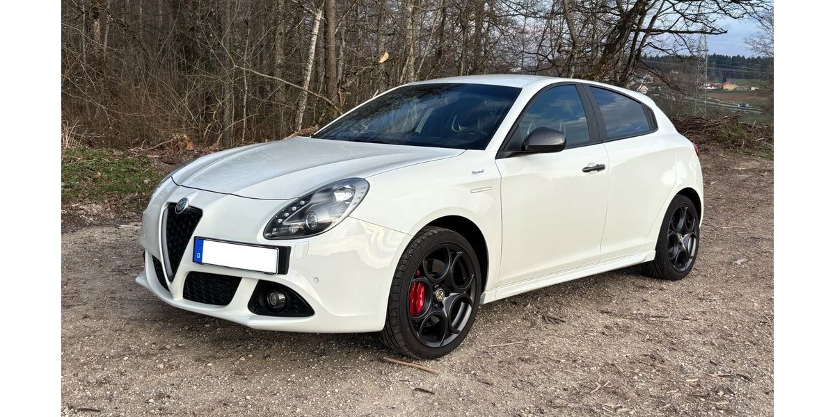 Alfa Romeo Giulietta 154.000 km 11.380 &euro; Donaueschingen 78166