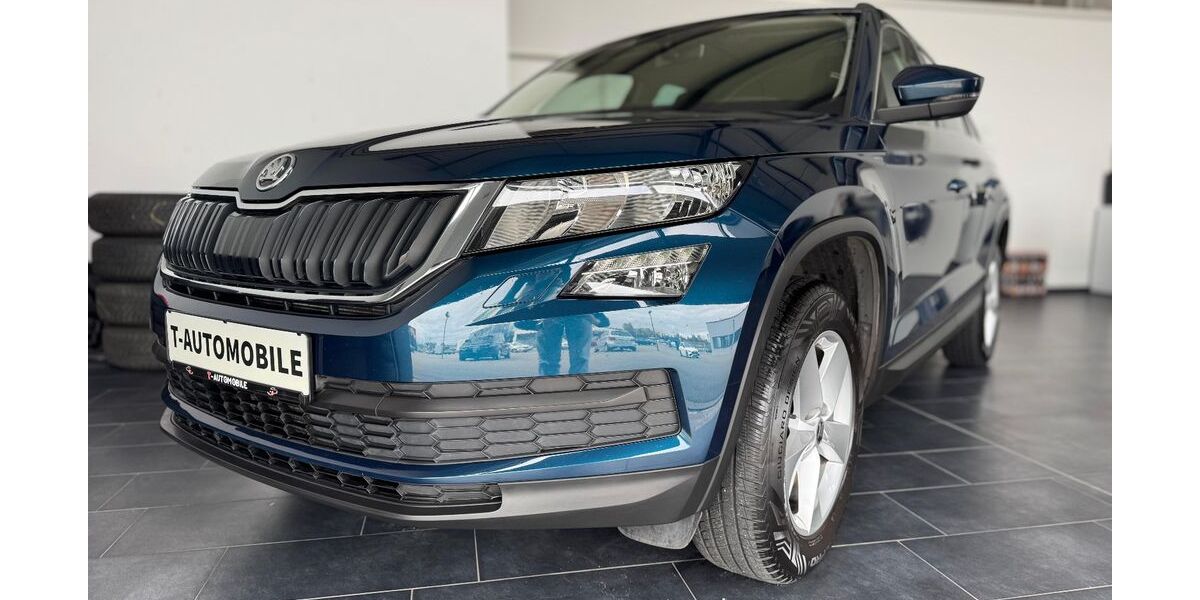 Skoda Kodiaq 133.329 km 20.290 &euro; Villingen-Schwenningen 78052