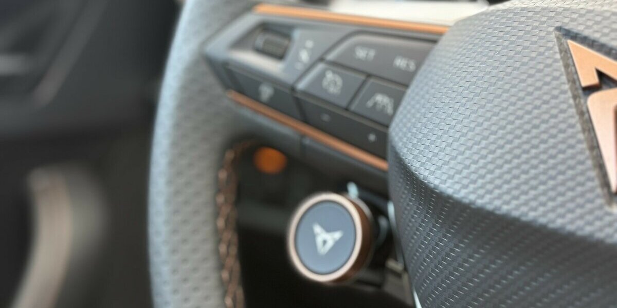 Cupra Formentor 2,0 TSI VZ 4Drive KAMERA/NAVI/SHZ/DAB 37.620 km 29.900 &euro; Villingen-Schwenningen 78054