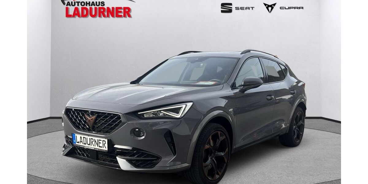 Cupra Formentor 41.980 km 36.930 &euro; Tuttlingen 78532