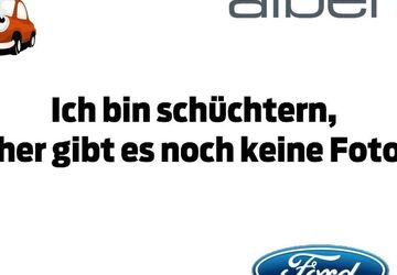 Ford EcoSport 29.500 km 14.933 &euro; Hüfingen 78183