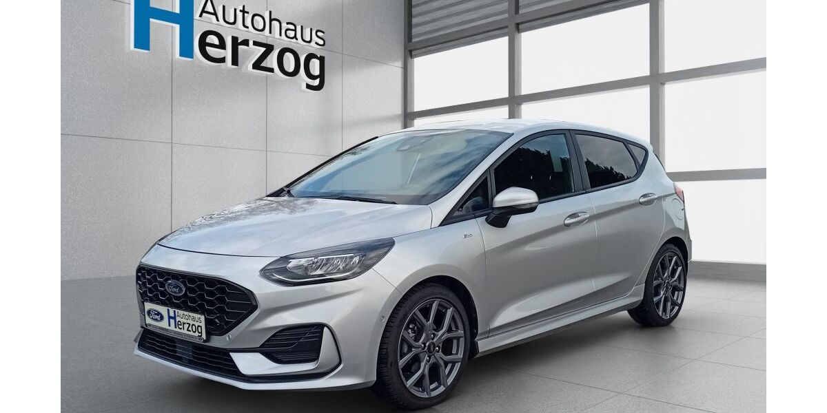 Ford Fiesta 19.785 km 17.490 &euro; Schramberg 78713