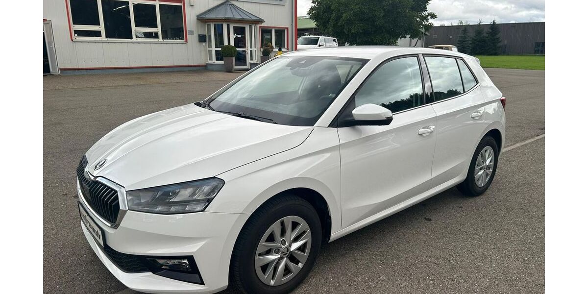 Skoda Fabia 12.000 km 17.680 &euro; Geisingen 78187