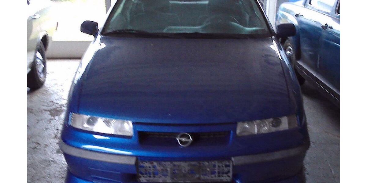 Opel Calibra 175.000 km 6.250 &euro; Mönchweiler 78087