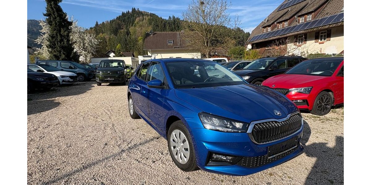 Skoda Fabia 14.541 km 17.700 &euro; Gutach 77793