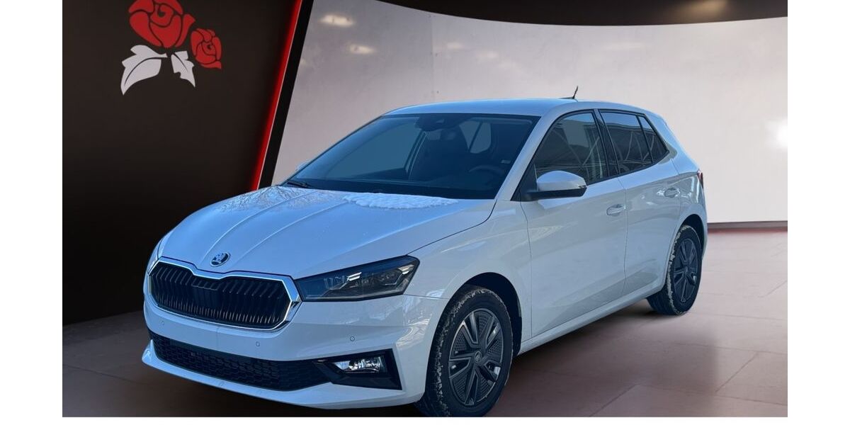 Skoda Fabia 2.504 km 25.989 &euro; Villingen-Schwenningen 78052