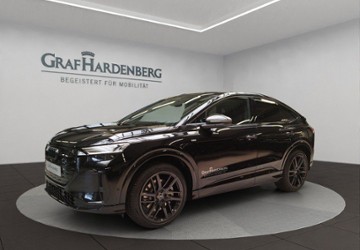 Audi Q4 e-tron 1.909 km 75.480 &euro; Tuttlingen 78532