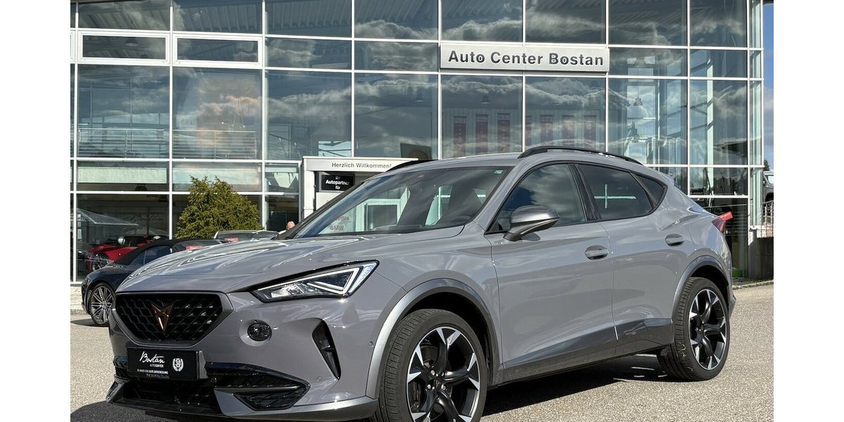 Cupra Formentor 2,0 TSI VZ 4Drive KAMERA/NAVI/SHZ/DAB 37.620 km 29.900 &euro; Villingen-Schwenningen 78054