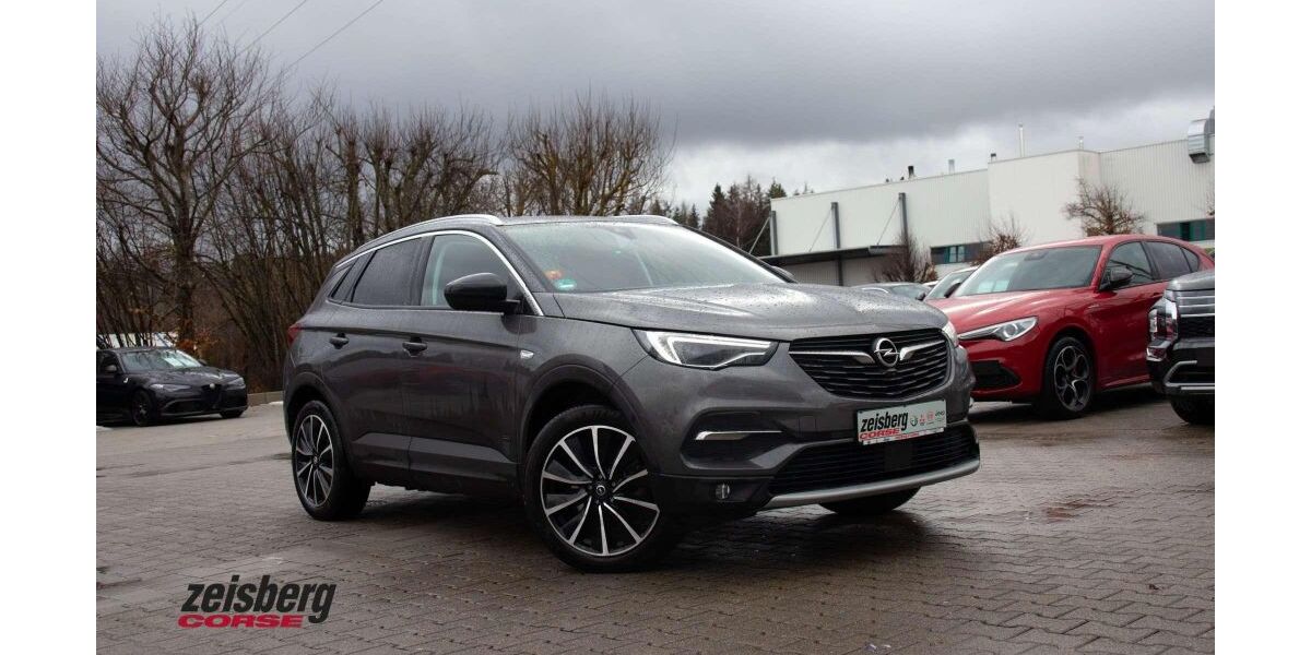 Opel Grandland (X) 40.600 km 21.900 &euro; Mönchweiler 78087