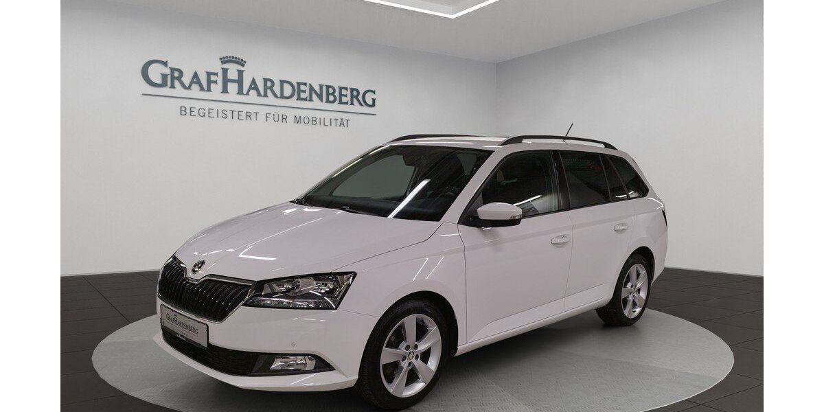 Skoda Fabia 45.700 km 16.510 &euro; Tuttlingen 78532