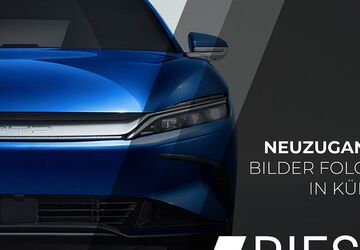 BYD DOLPHIN 3.000 km 27.700 &euro; Rottweil 78628