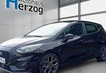 Ford Fiesta 18.800 km 17.990 &euro; Schramberg 78713
