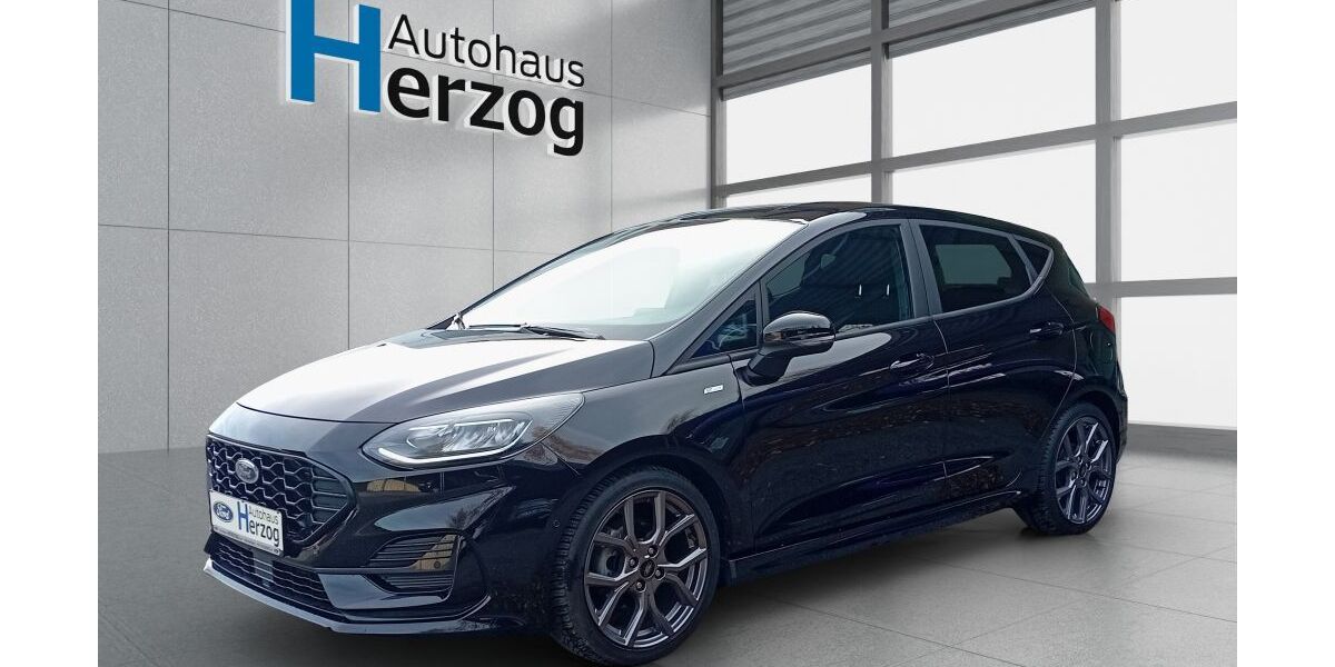 Ford Fiesta 18.800 km 17.990 &euro; Schramberg 78713