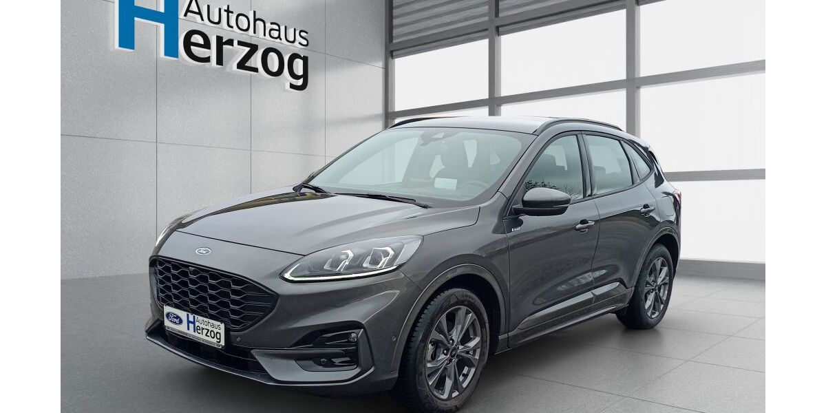 Ford Kuga 9.600 km 23.990 &euro; Schramberg 78713