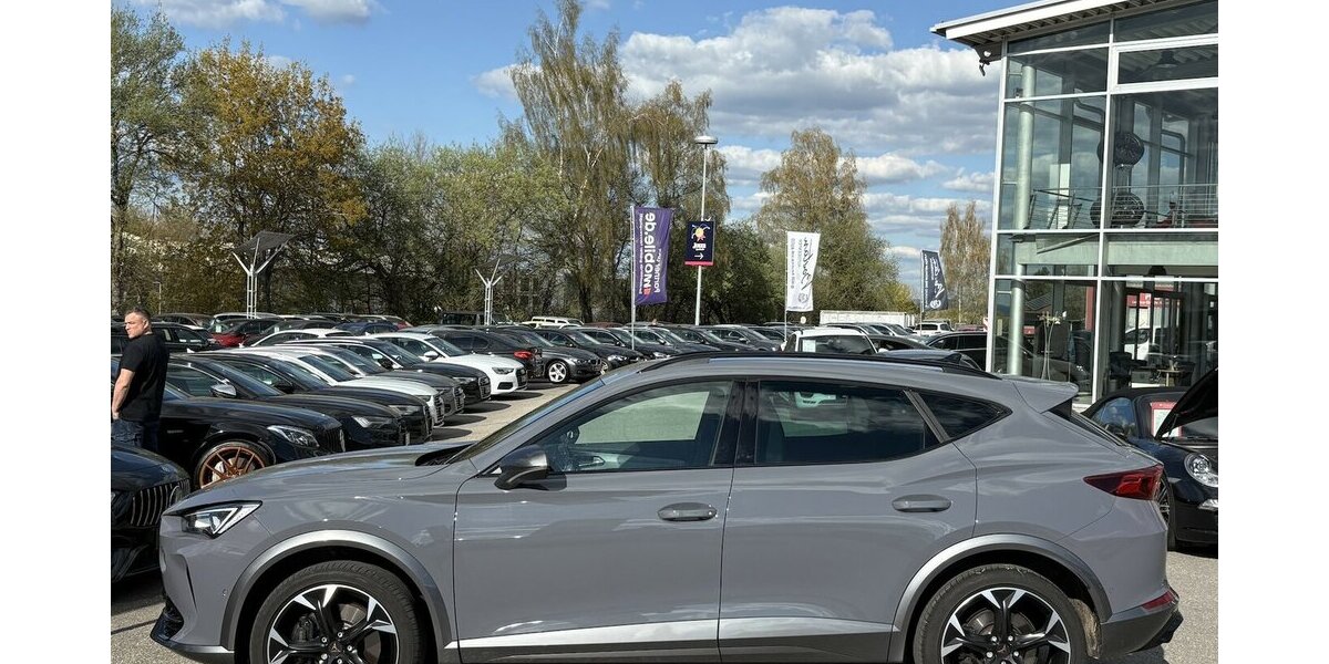 Cupra Formentor 2,0 TSI VZ 4Drive KAMERA/NAVI/SHZ/DAB 37.620 km 29.900 &euro; Villingen-Schwenningen 78054